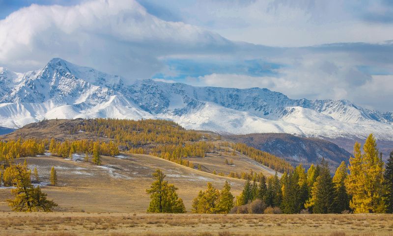 Курайские степи фото превью