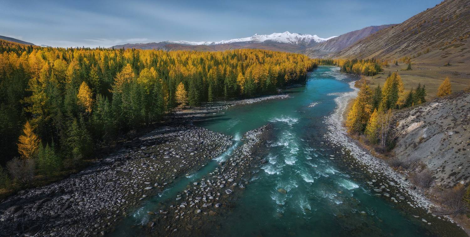 алтай, горный алтай, аргут, осень, лиственница, Марина Огнева
