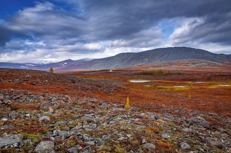 * * * фото превью