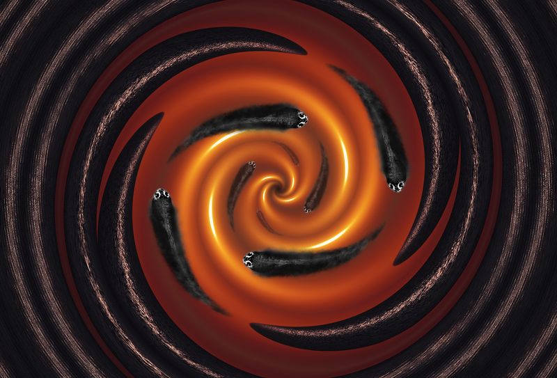 creative, креатив, манипуляция, концепция, цифровое, искусство, digital, art, dark, quiet, whirlpool, devils, evil В тихом омуте - черти водятся... фото превью