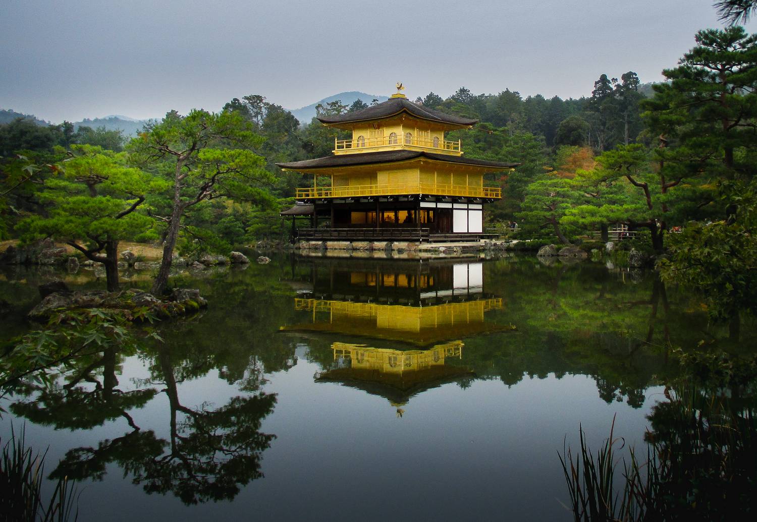 золотой павильон, япония, азия, киото, Потапов Сергей