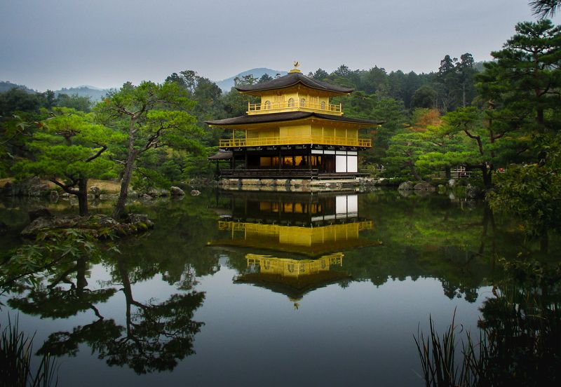 золотой павильон, япония, азия, киото Золотой павильон фото превью