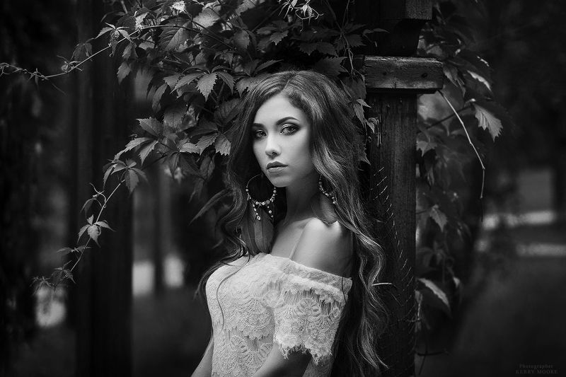 portrait, girl, face, beautiful, woman, female, портрет,light, bw,dream,fineart Vamp фото превью