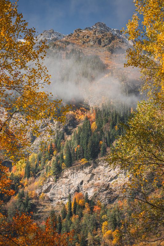 Желтая рамка фото превью