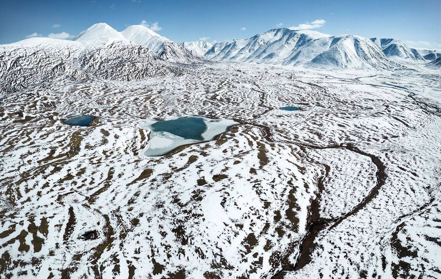 , Лещёнок Александр