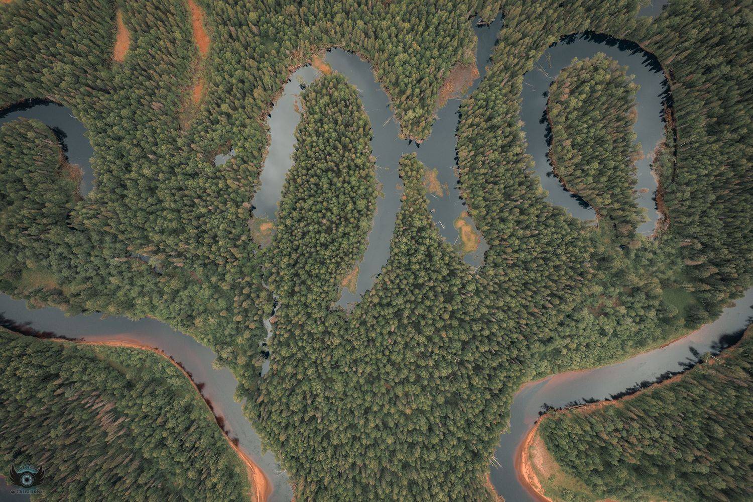 , Vladislav Trushkov