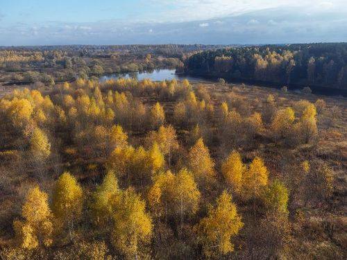 Золотая осень