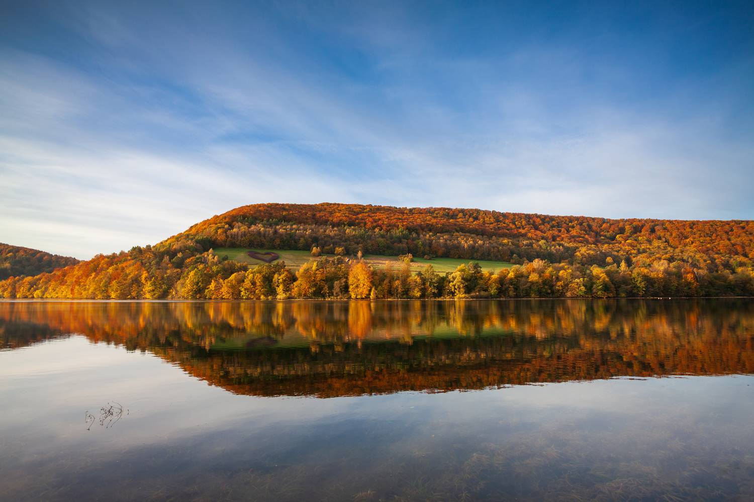 ,  Mirosław Pruchnicki