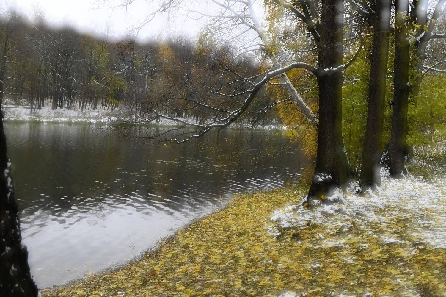 , Аникеев Владимир