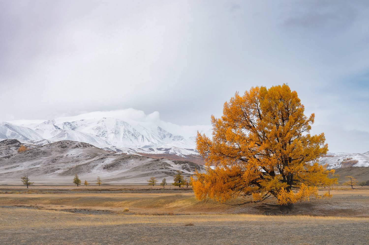 тыва, tuva, снег, сентябрь, золотая осень, горы, Леонтьев Константин