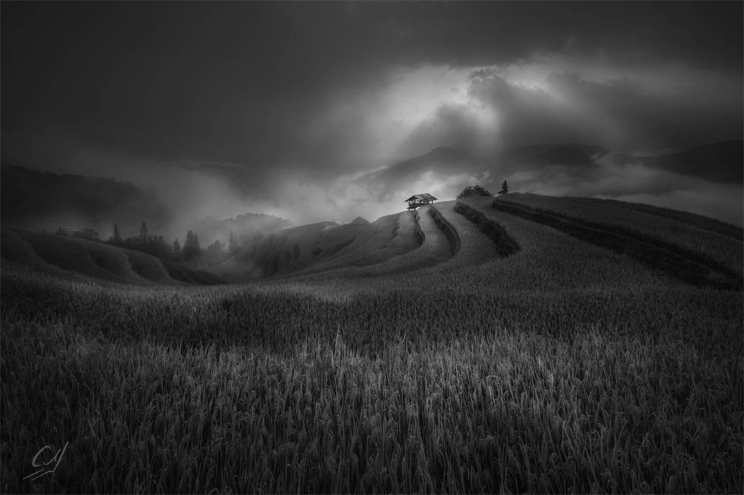 , Михалюк Сергей *