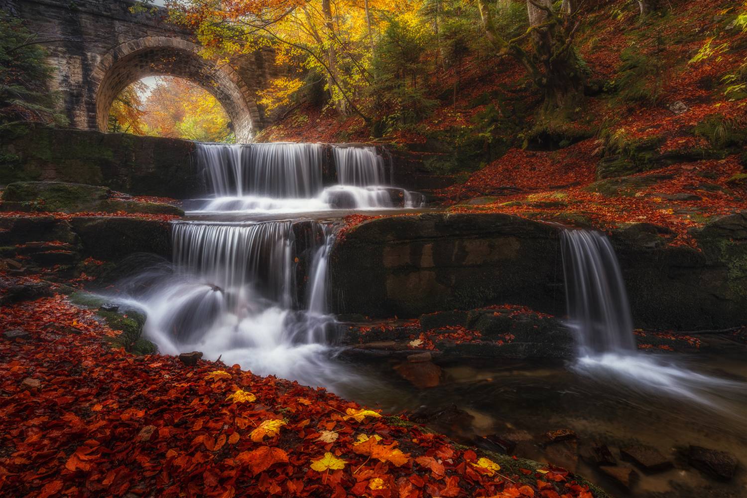 landscape, nature, scenery, forest, wood, autumn, fall, waterfall, river, mountain, rodopi, bulgaria, лес, Александров Александър