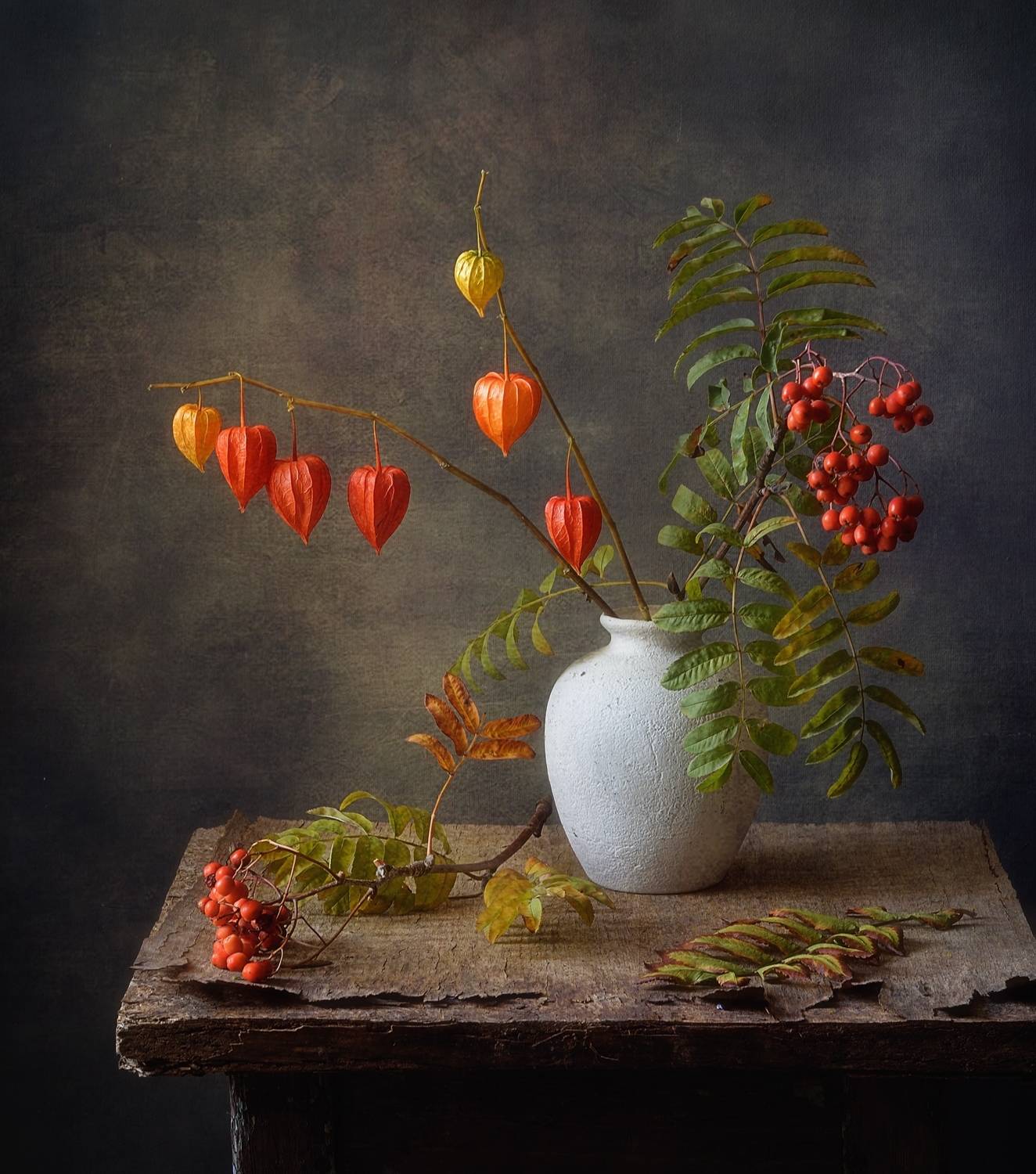 натюрморт,осень,рябина,физалис, Наталия К