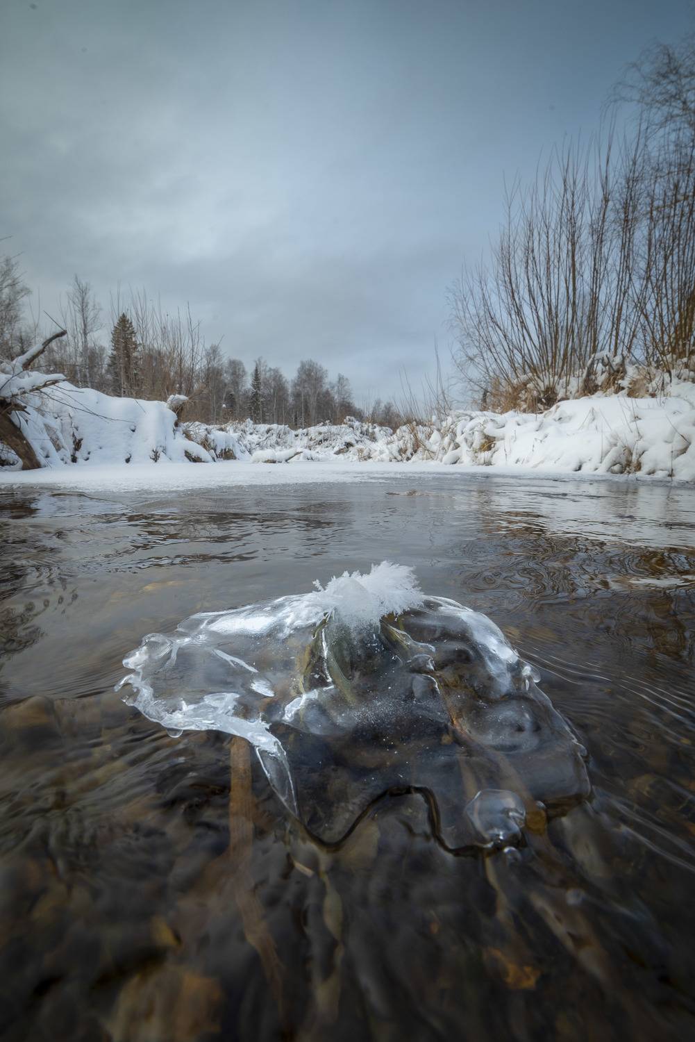 зима, солнце, лес, пейзаж, деревья, , вода, лед, Жданов Дмитрий