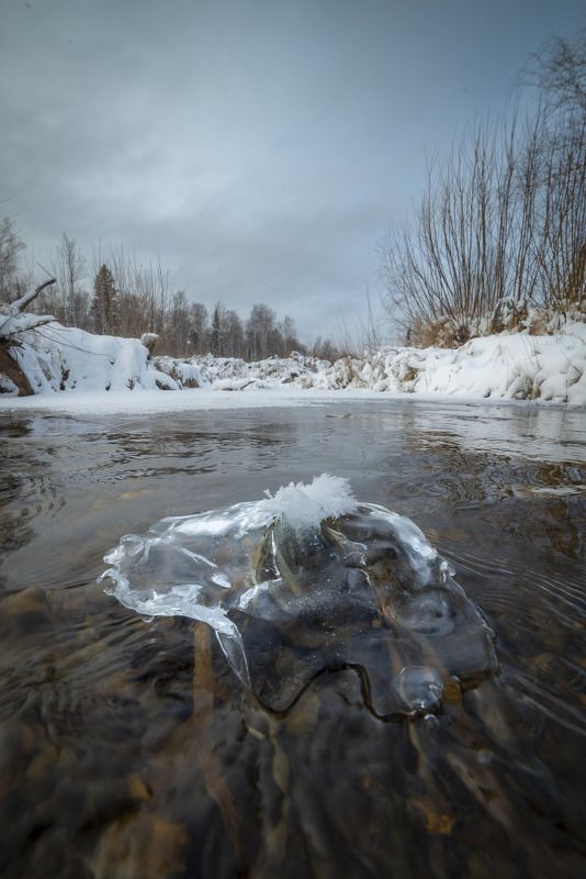 зима, солнце, лес, пейзаж, деревья, , вода, лед Ледяной островок фото превью