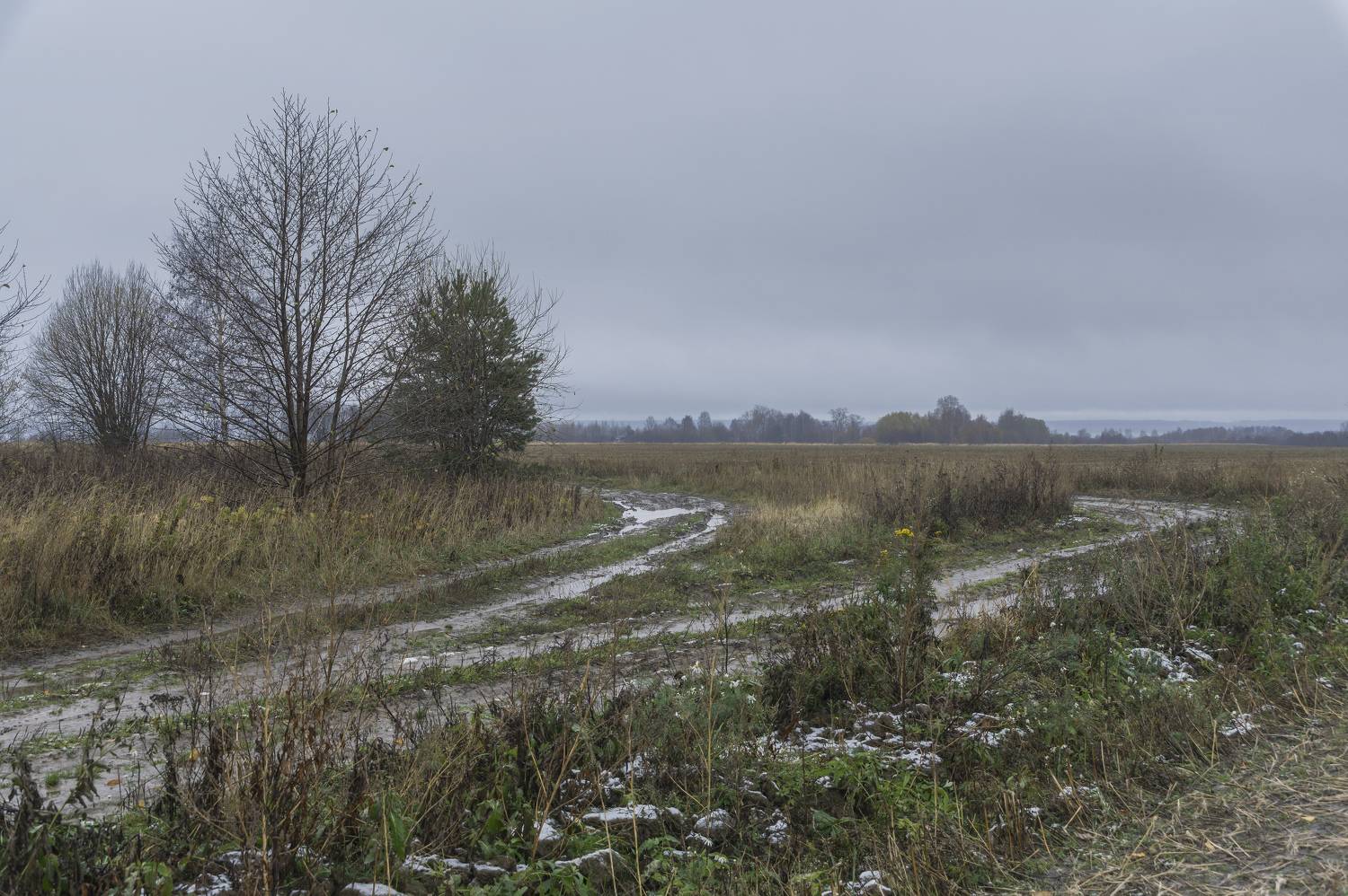 , Шитов Александр