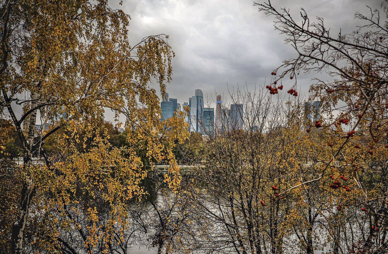 новодевичий монастырь. октябрь., Бирюков Вячеслав