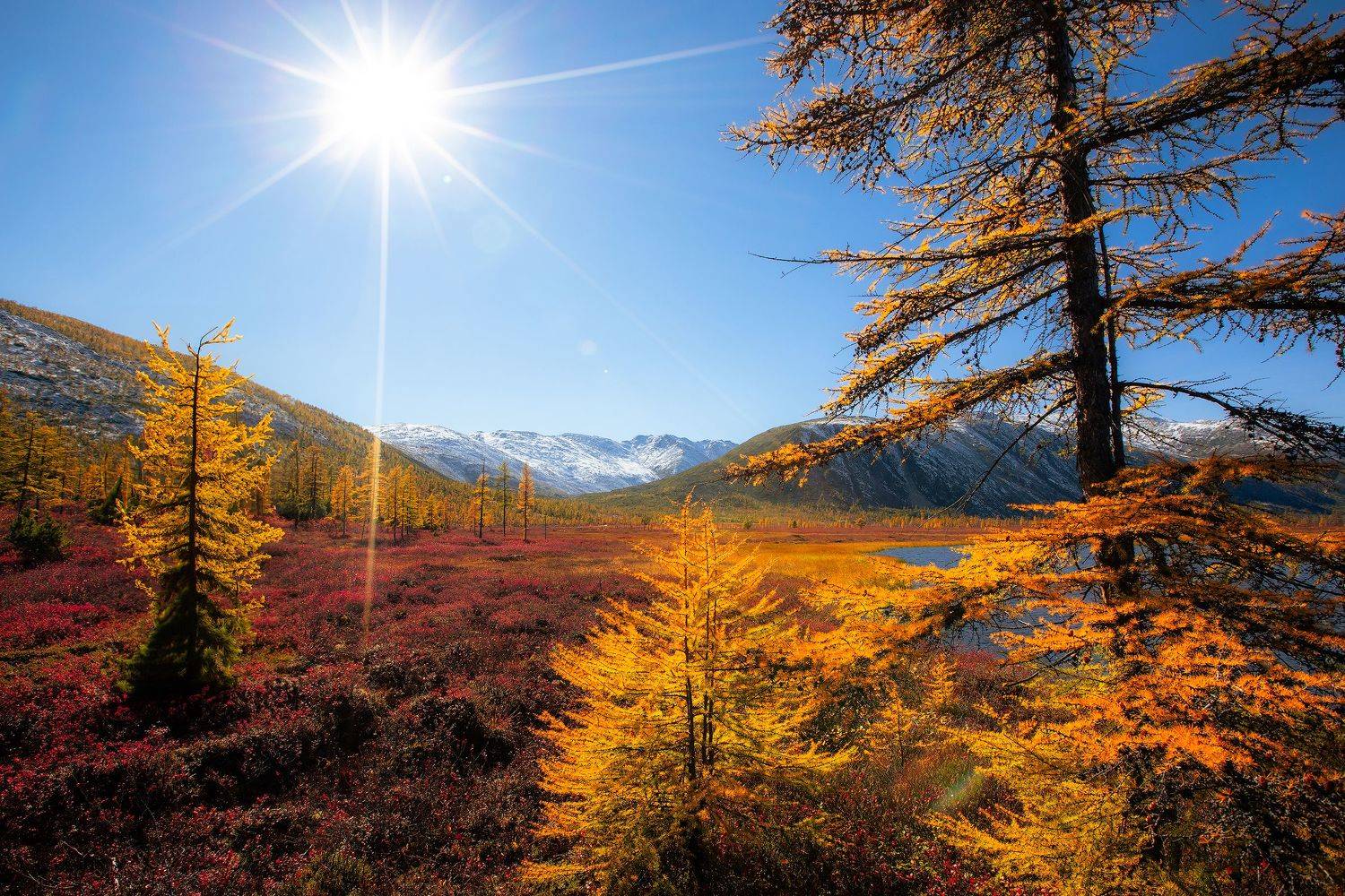 колыма, Кочкин Владимир