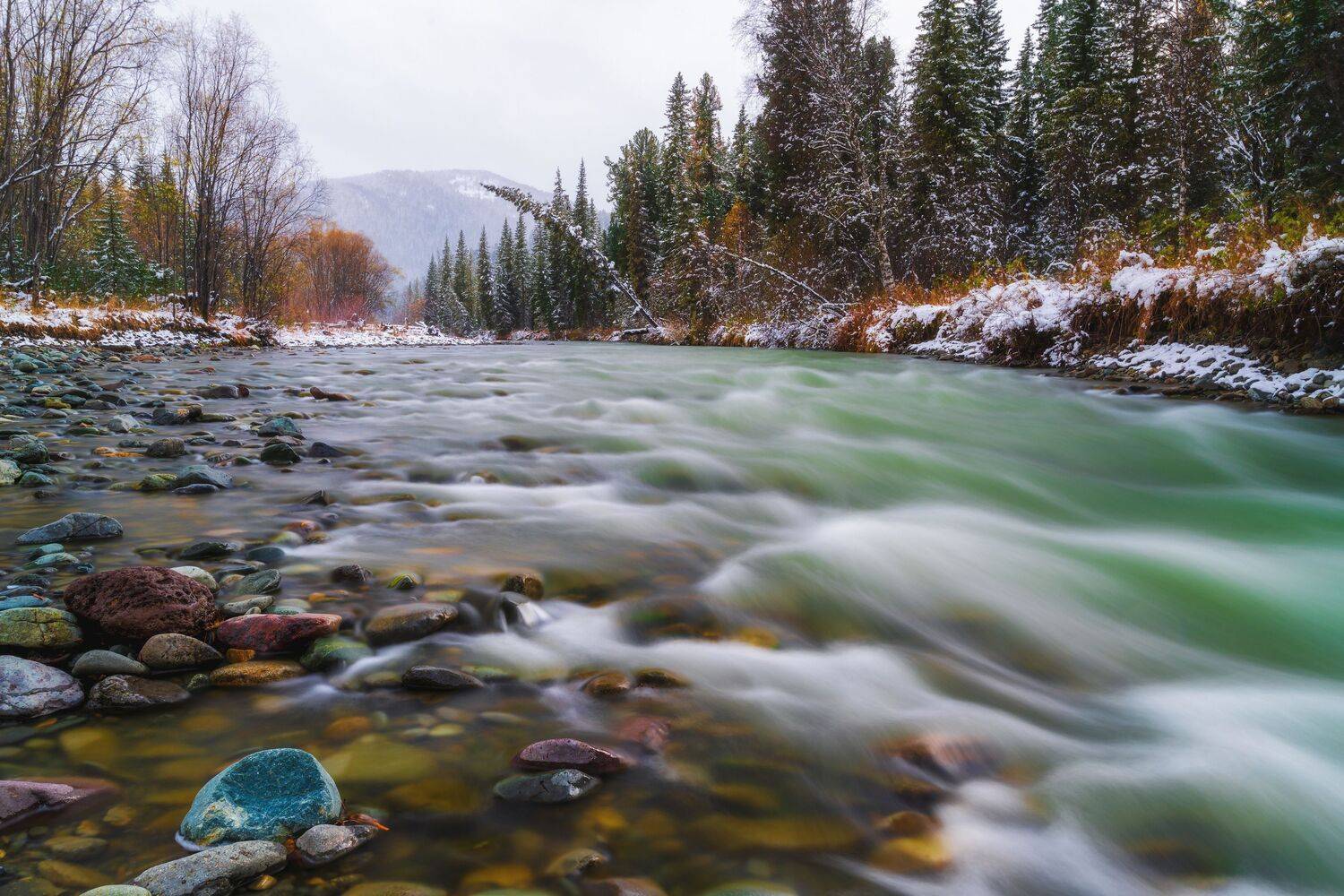 , Nikitin Alexander
