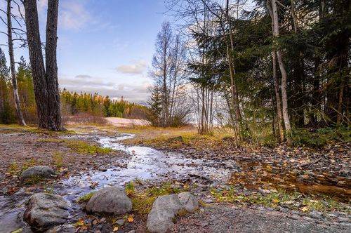 Краски октября.