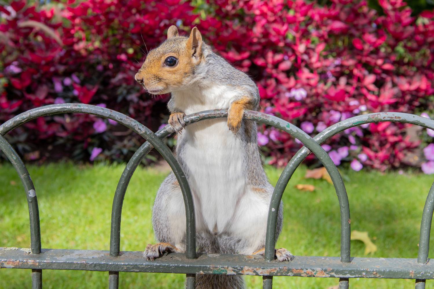 , Вадим Городницкий