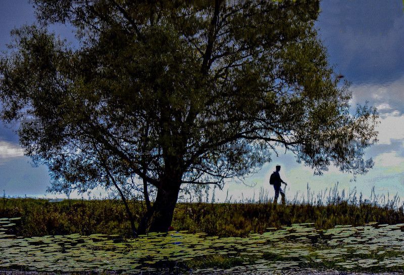 Зазеркалье фото превью