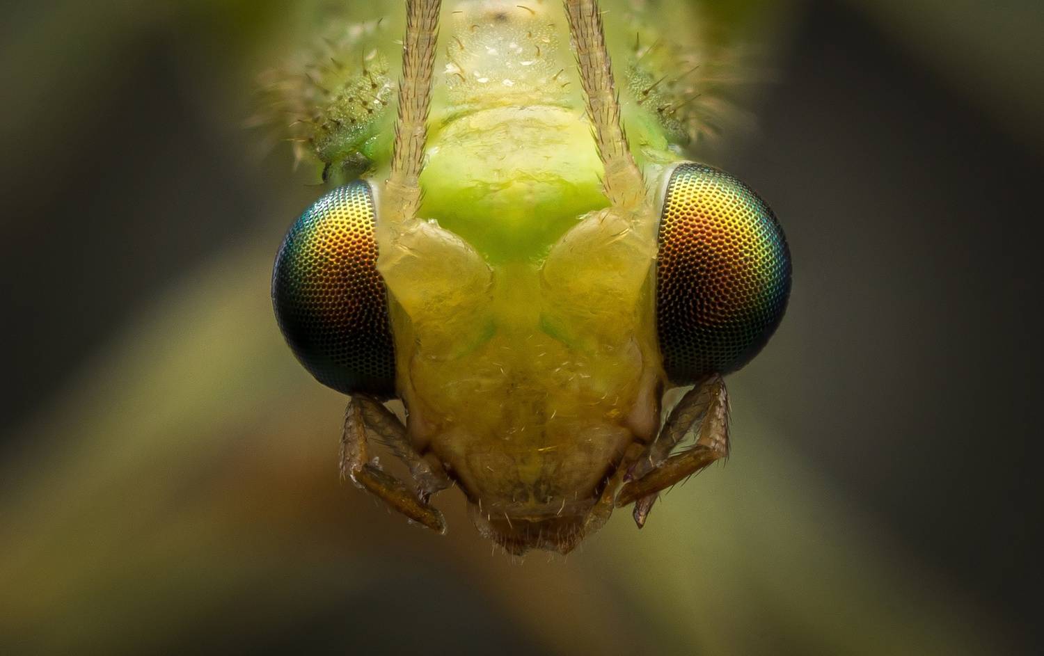 , Вячеслав Мельников