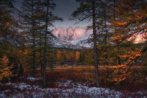 В тишине осени