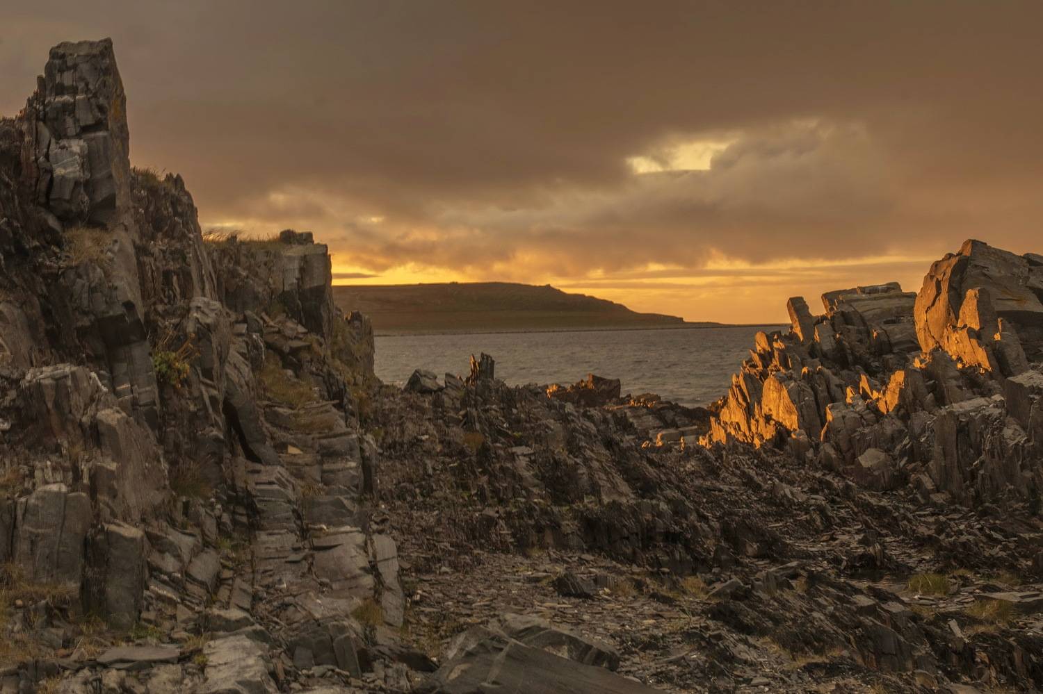 , Добролюбова Тамара