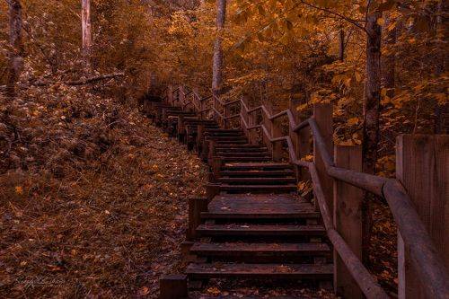 Autumn. Sigulda, Latvia 2023