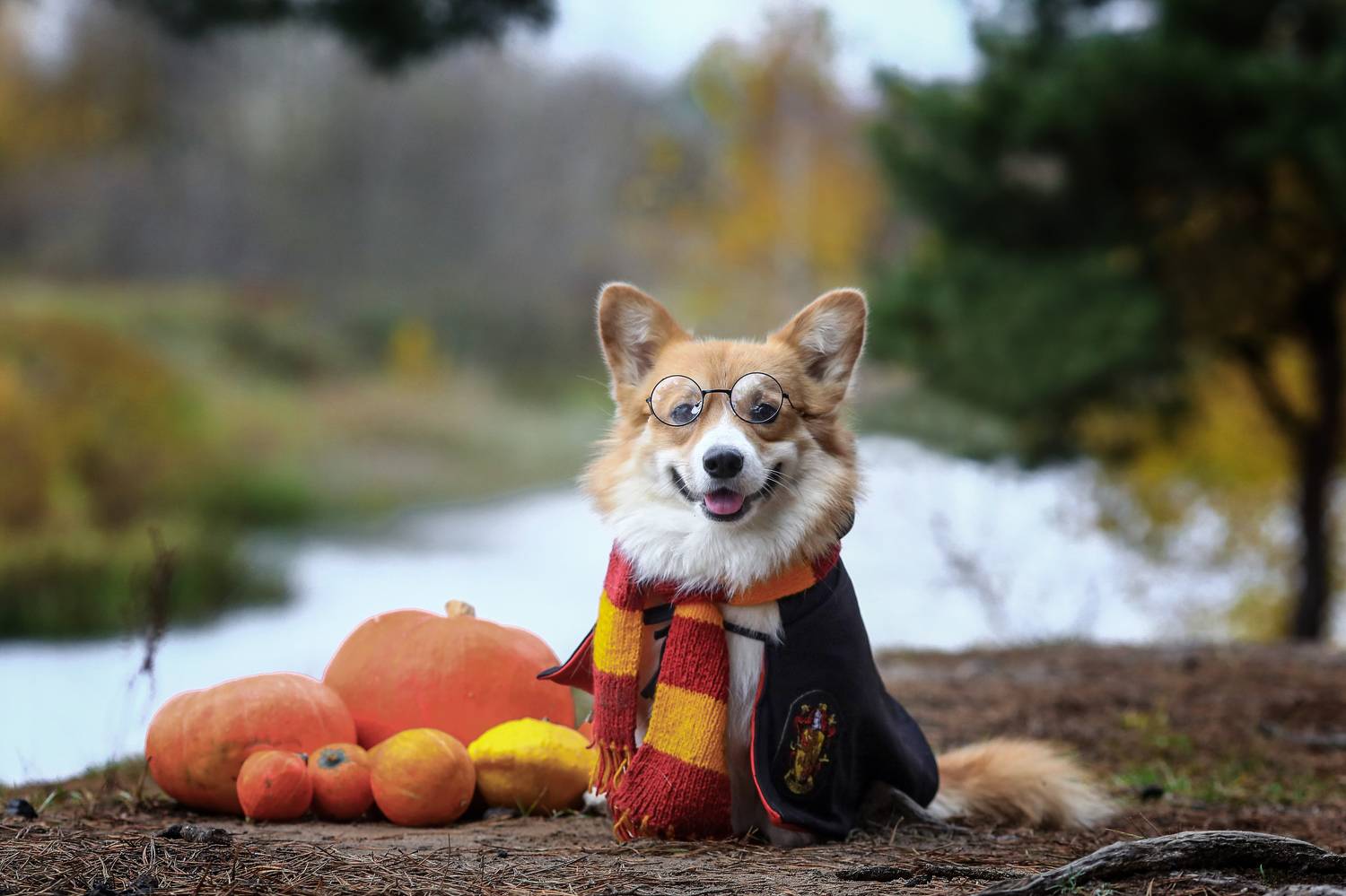 , Андрей Ершов