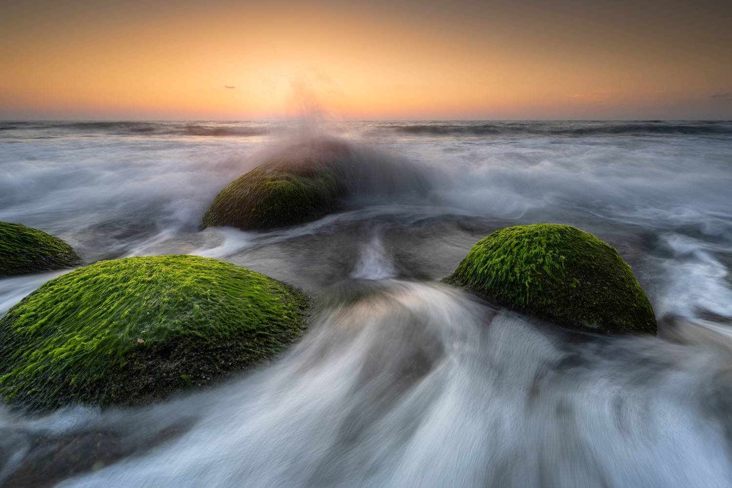 sea summer seaweed water sunrise , Boyko Valchev