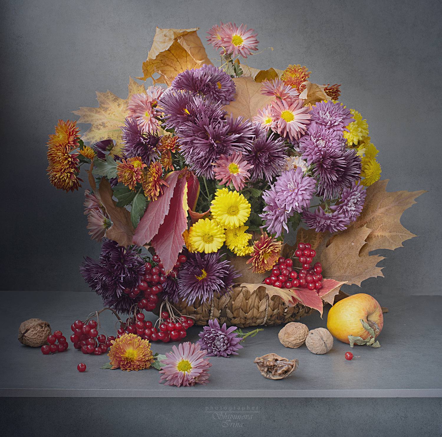 , Ирина Шипунова