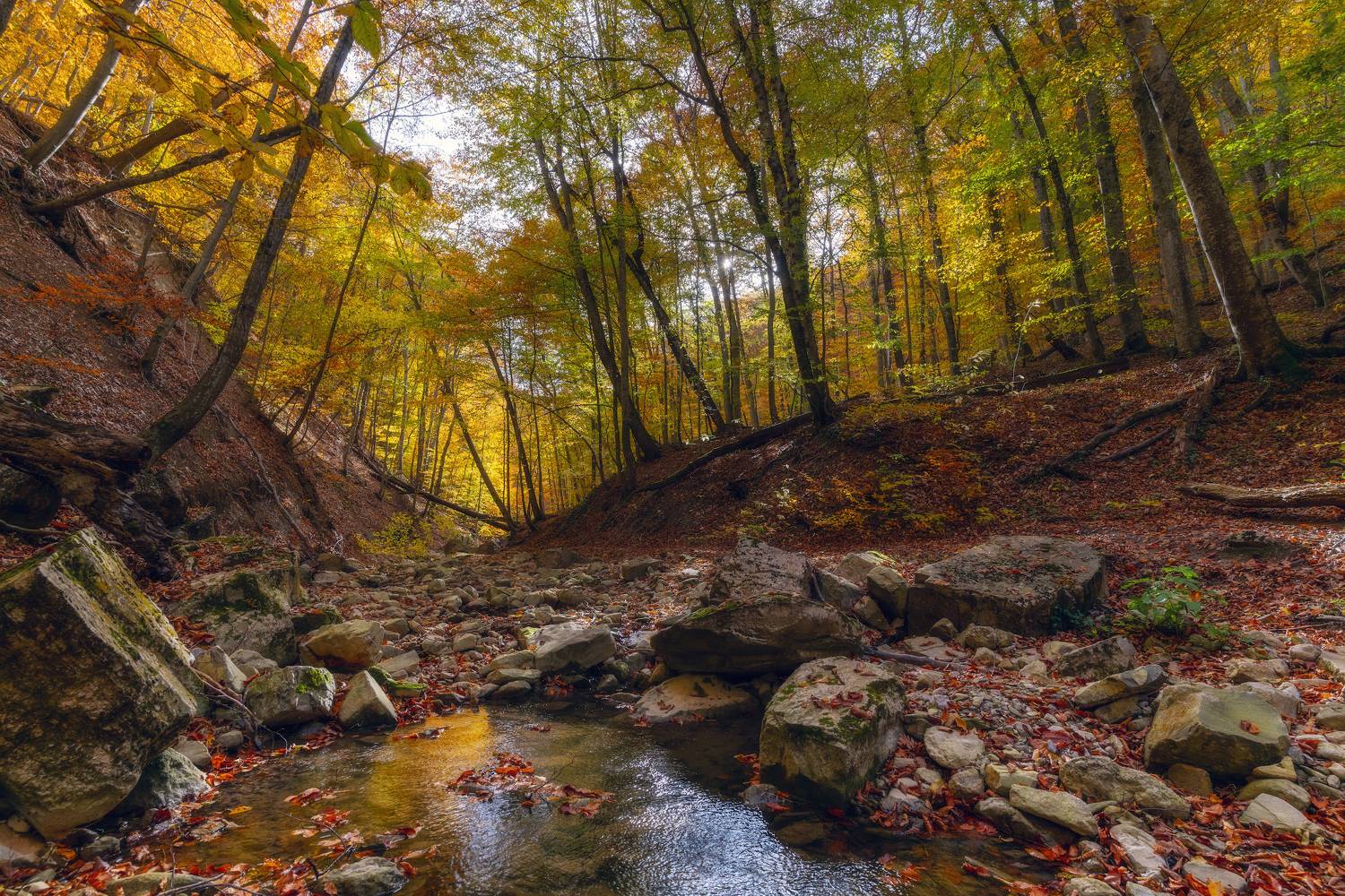 , Юлия Мальцева