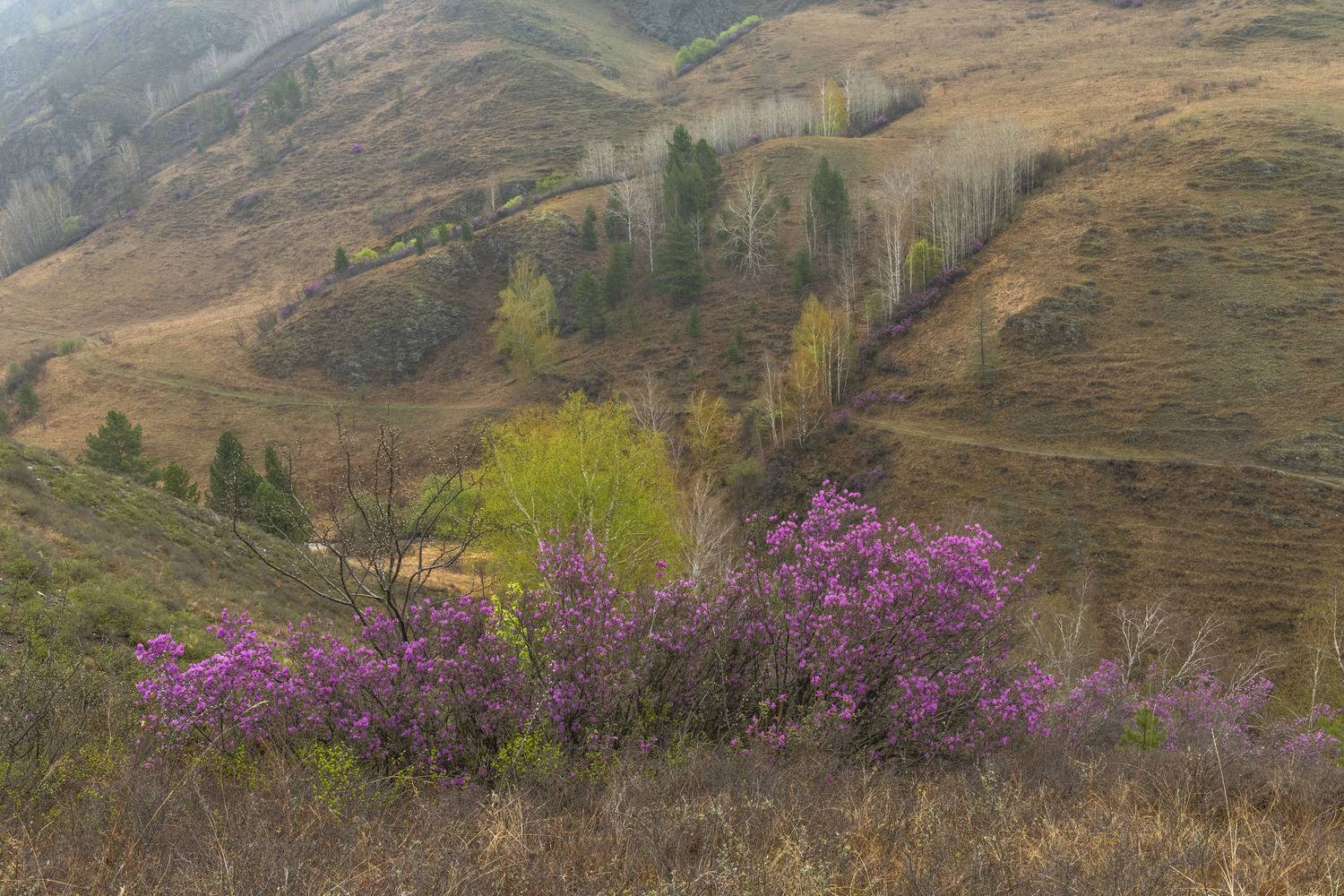 Фототуры с Владимиром Рябковым, #topnature #russpasibo #magic_shots #lovelyRussia #sunset_vision #exclusive_sky  #exclusive_shots #loves_russia2 #photoarena_nature #nature_sultans #nature_perfection #rsa_sky #rsa_sunset #photorussia #rsa_naturepics #sunse, Владимир Рябков