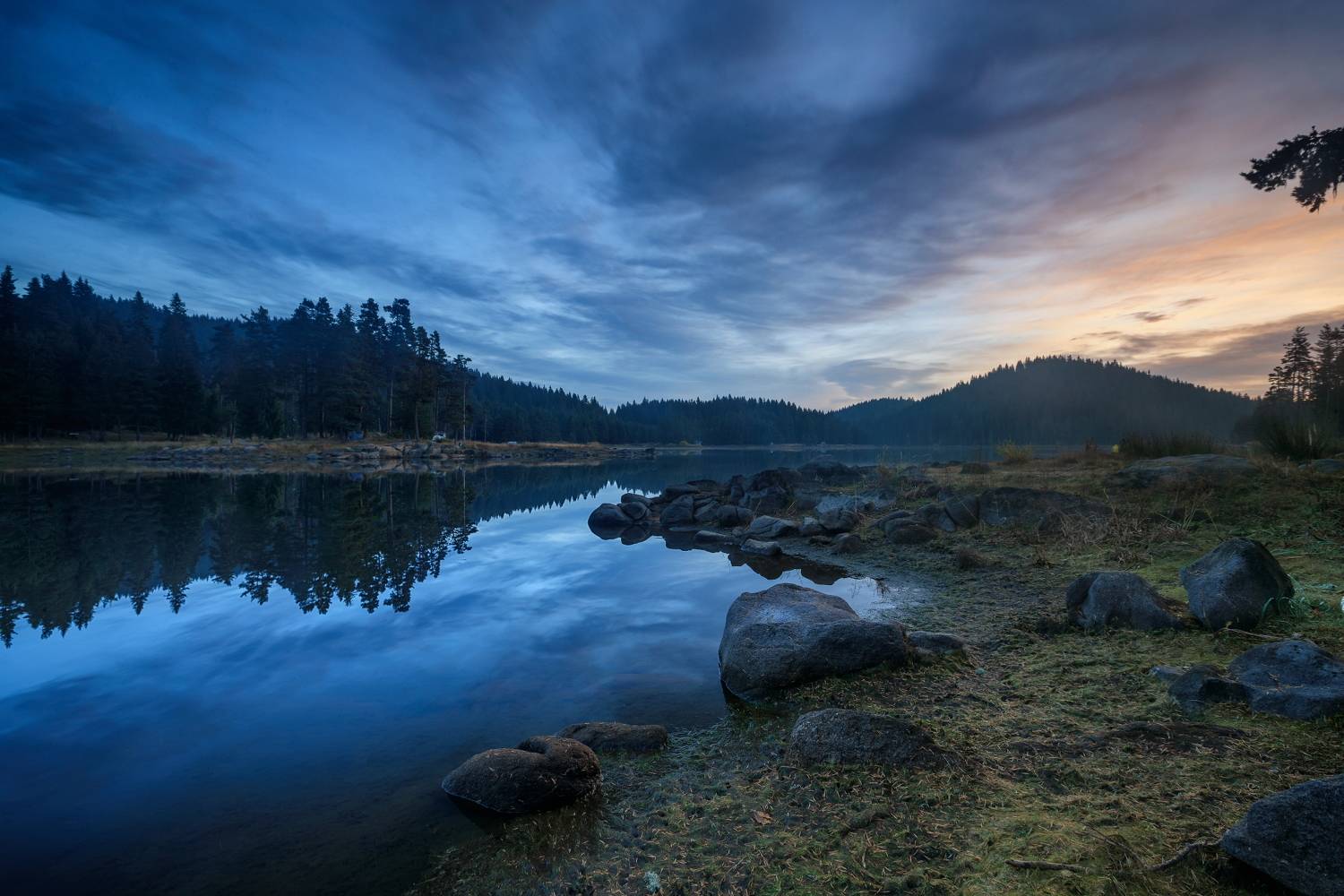 , Александър Сандев