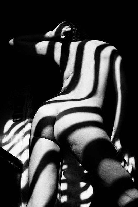 art nude, fine art nude, bw nude photo, conceptual, minimalism nude, shadows nude, art shadows, zebra shadows nude, abstract nude,, zebra ** фото превью