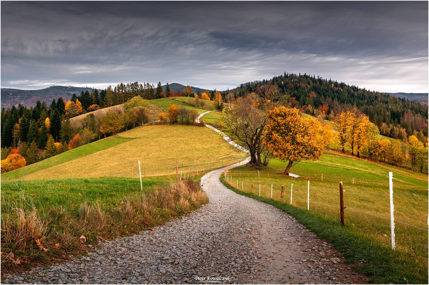 polska, jesień, droga, g&oacute;ry, drzewa, beskid, Kowalczyk Piotr