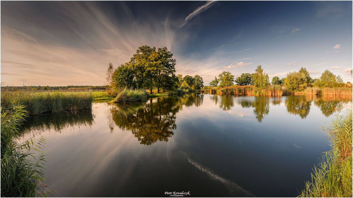 polska, drzewa, jesień, Kowalczyk Piotr