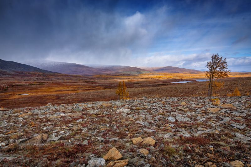 * * * фото превью