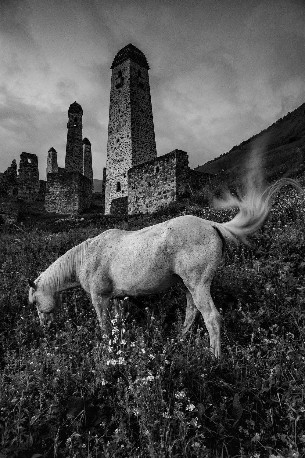 ингушетия, башенный комплекс эрзи, лошадь, Чекалев Алексей