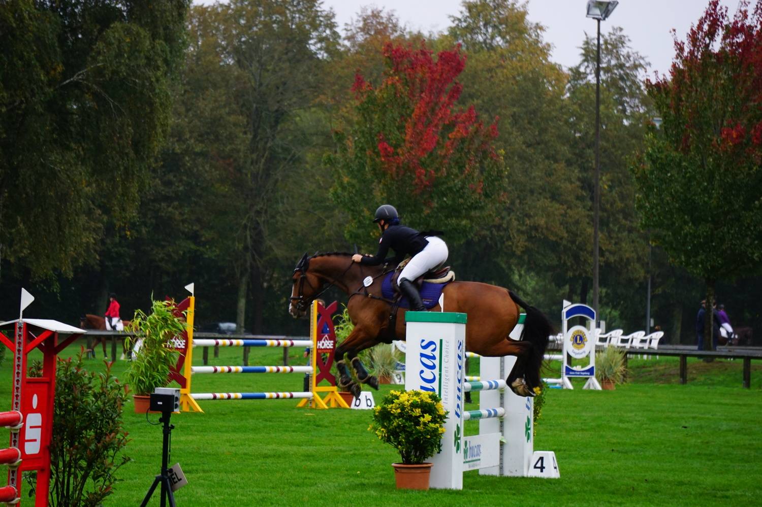 Лошадь , Ramin Ismayilov