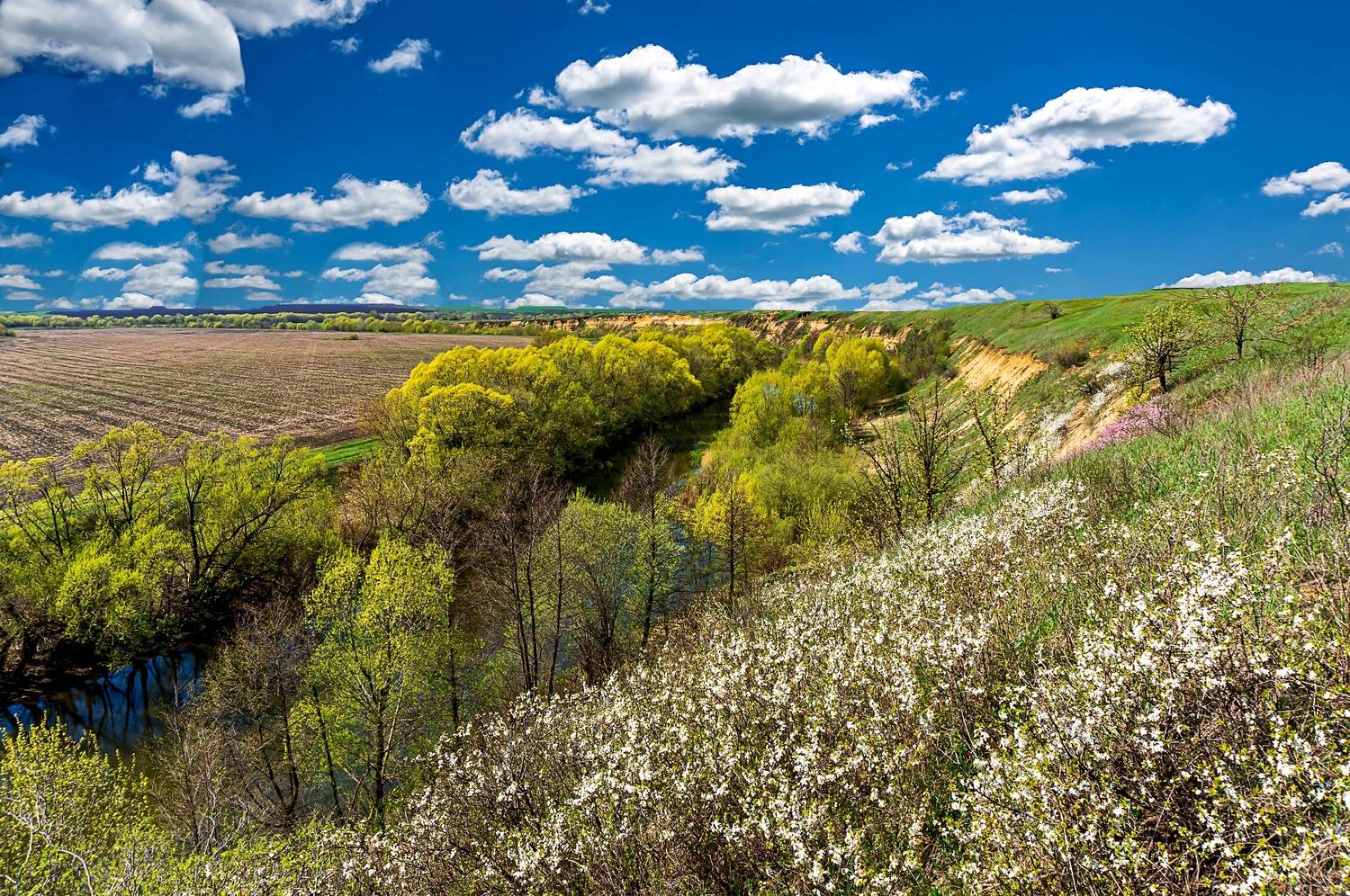 река кшень, весна, , Николай Бологов