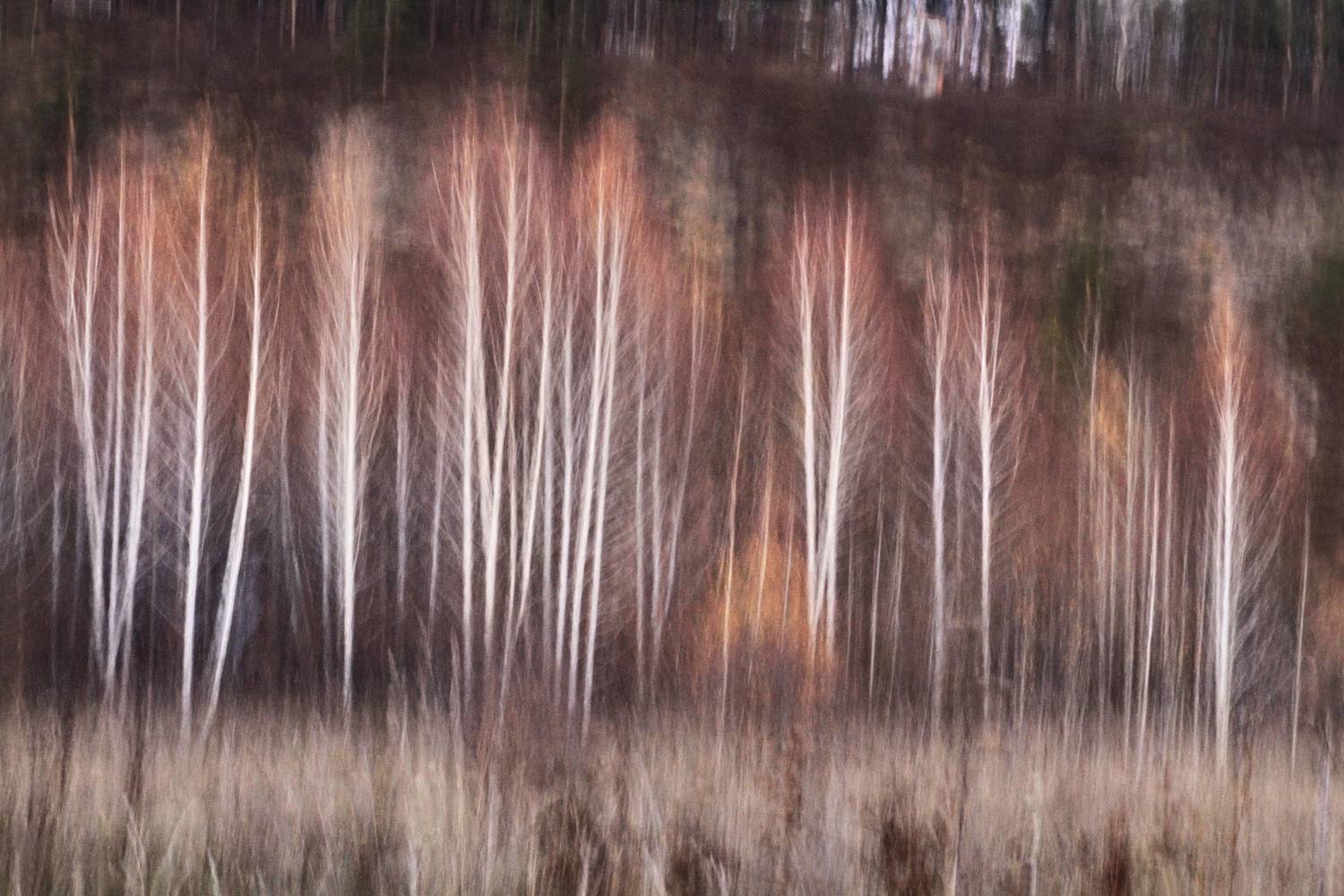 , Гагик Мхитарян