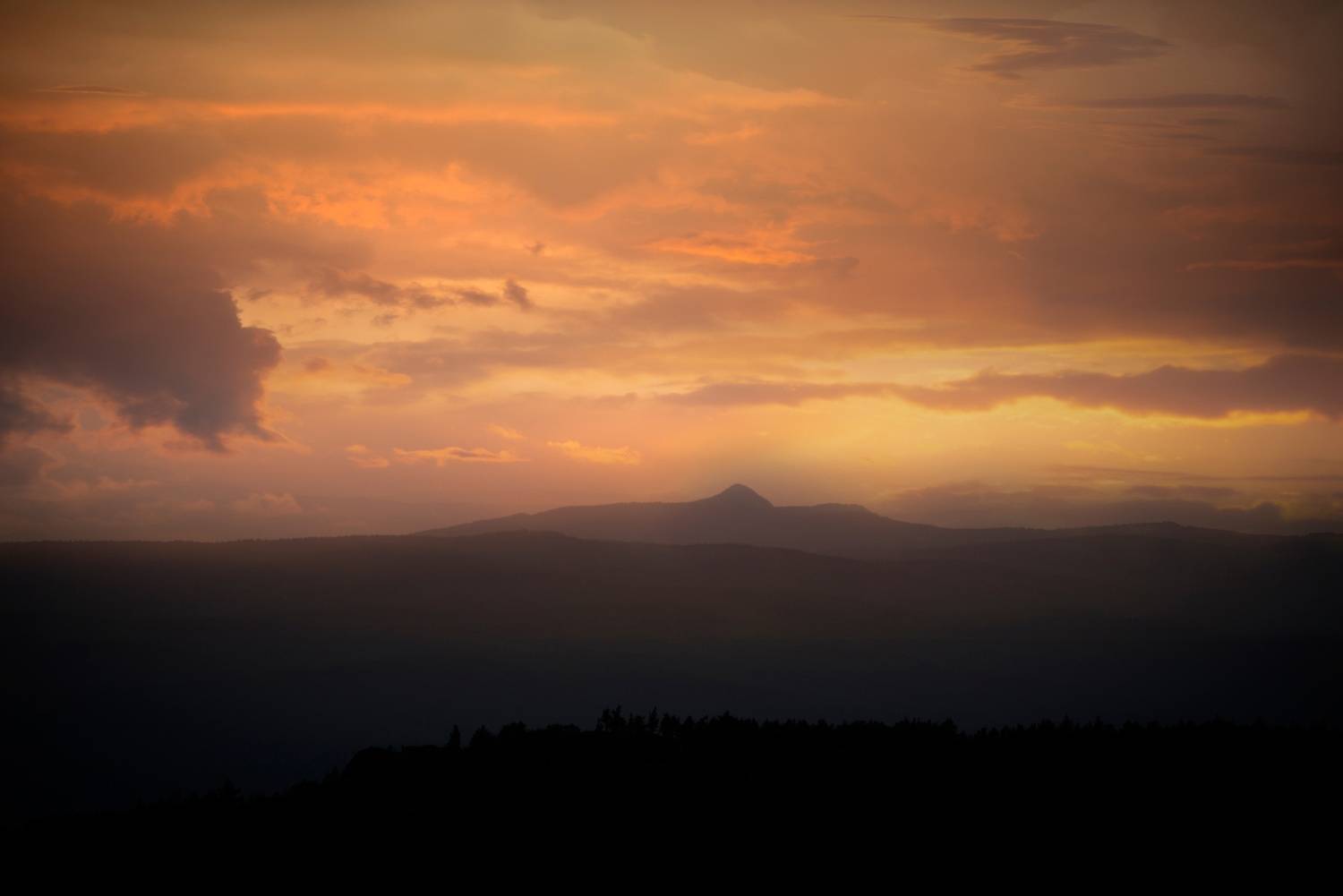 , Антонов Антон