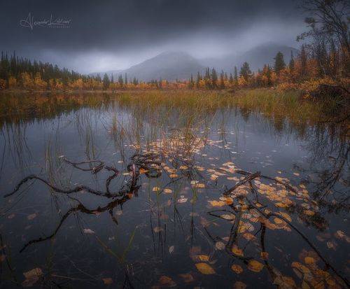 Осенняя меланхолия...