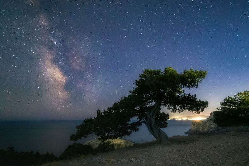 Звездная ночь в Новом Свете фото превью