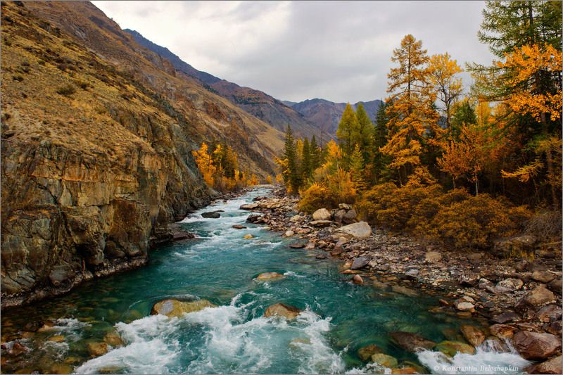 Осень. Изумрудные реки Алтая. фото превью