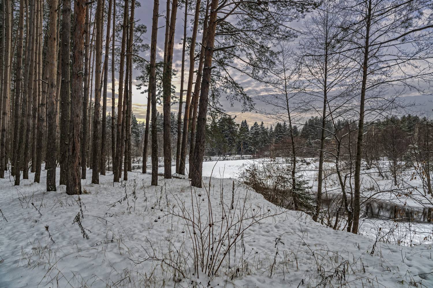 , Шитов Александр