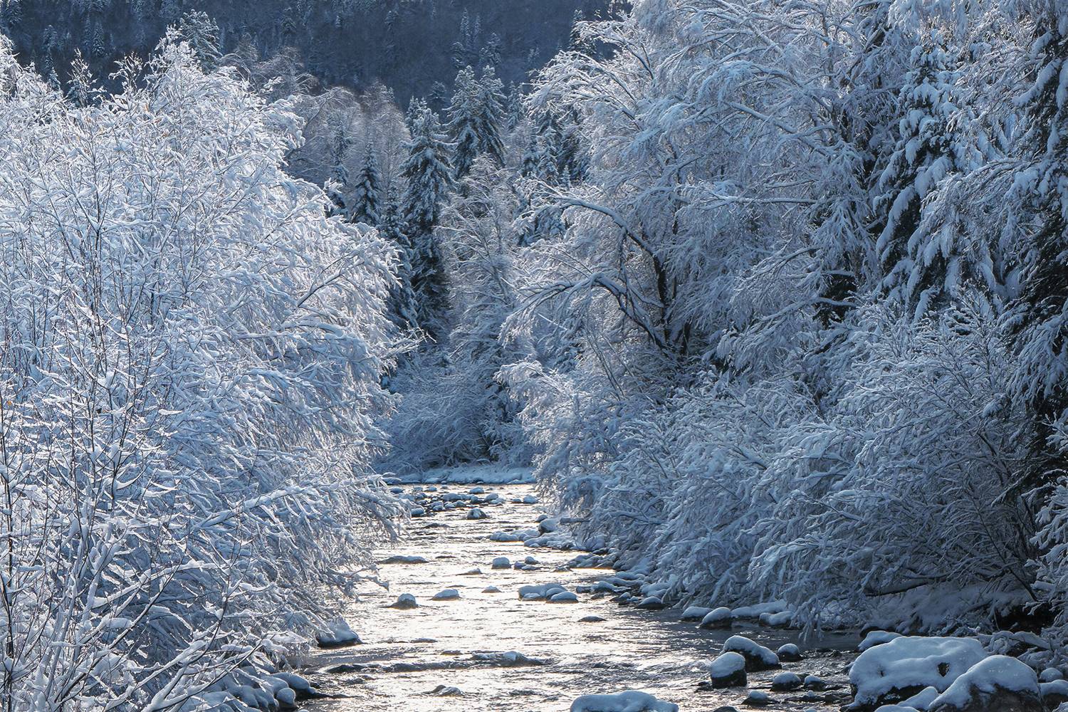 , Шварцман Евгений
